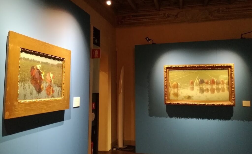 L'allestimento della mostra "Vita in risaia" alla Galleria Giannoni di Novara